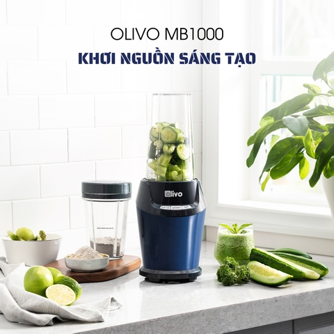 Máy xay sinh tố OLIVO MB1000