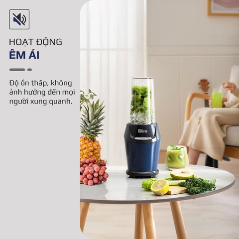 Máy xay sinh tố OLIVO MB1000
