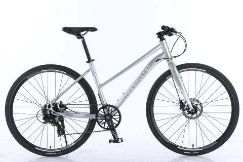 Cửa hàng bán xe đạp ở Quận 1 Tp hồ chí minh giá rẻ nhất