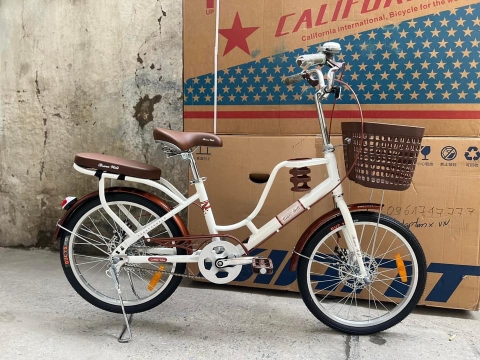 Xe Đạp Brave Will V20  ( 8 đến 15 tuổi )