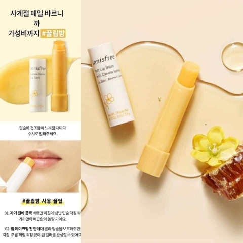 Son dưỡng môi Innisfree Canola Honey Lip Balm