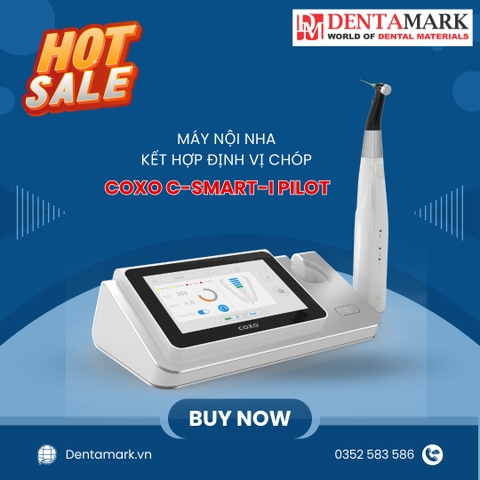 Máy nội nha Coxo tích hợp định vị chóp C-Smart I Pilot