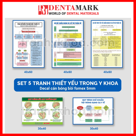 Set Tranh Nha Khoa Thẩm Định Phòng Khám, Cơ Sở Y Tế ( Sơ Đồ Chẩn Đoán Phản Vệ, Phác Đồ Điều Trị Ngộ Độc Tê...)