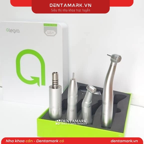 Bộ tay khoan nhanh chậm W&H