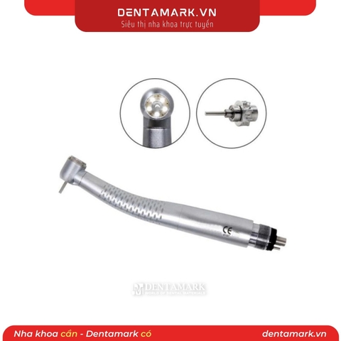 Bộ tay khoan nhanh LED W&H (2 lỗ/4 lỗ)