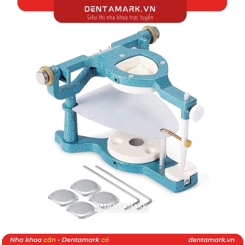 Càng cắn nha khoa xanh