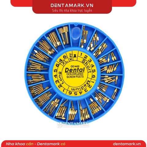 Chốt kim loại vàng Dental - Hộp 120 cái