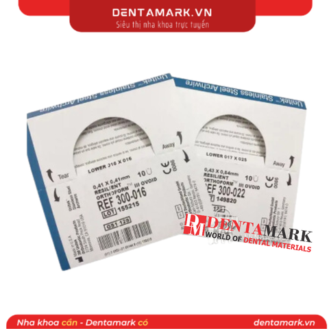 Dây cung SS vuông 3M - Hộp 10 sợi
