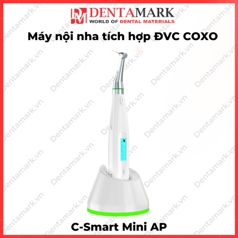 Máy nội nha Coxo C-Smart Mini AP