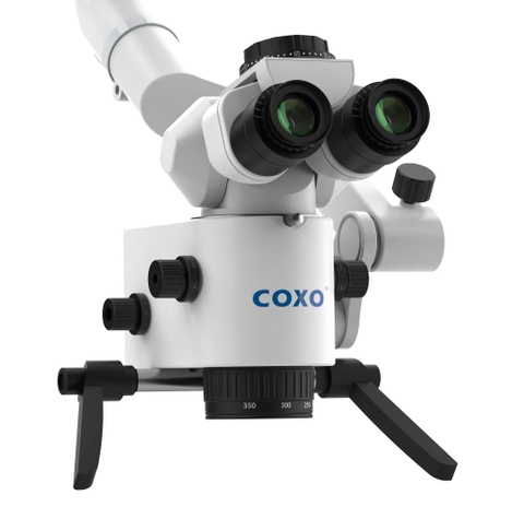 Kính hiển vi nha khoa Coxo C-CLEAR-1