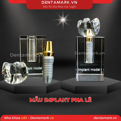 Mô hình Implant pha lê