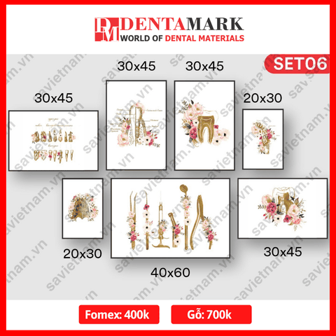Set tranh nha khoa nghệ thuật RĂNG và HOA
