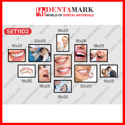 Set tranh trang trí nha khoa - Chất liệu formex