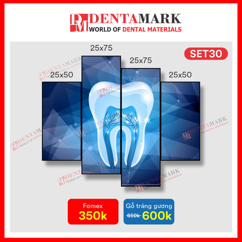 Tranh nha khoa nghệ thuật