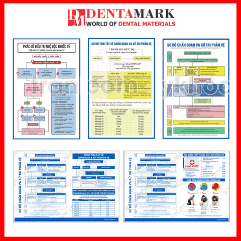 Tranh nha khoa xử trí phản vệ và ngộ độc thuốc tê