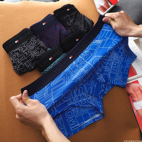 Quần lót boxer TM 31022