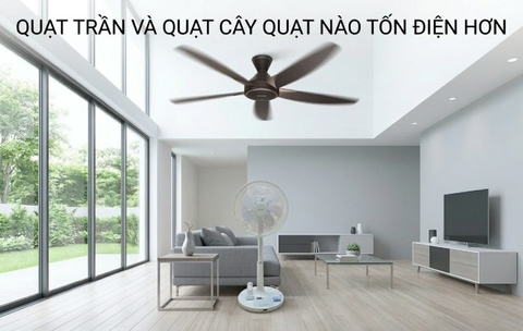 Quạt trần và quạt cây quạt nào tốn điện hơn?