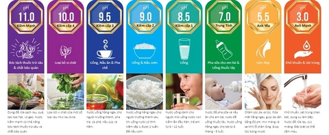 Máy lọc nước ion kiềm Kangen Leveluk SD501 Platinum