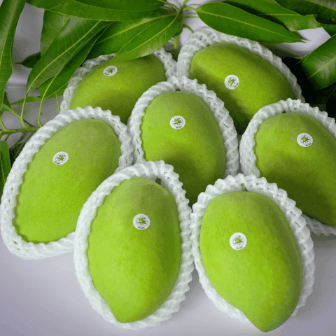 XOÀI CÁT CAO LÃNH