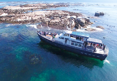 Những Dịch Vụ Cao Cấp Dành Cho Đoàn Khách Trải Nghiệm Tour Nam Phi Mới Nhất 2023