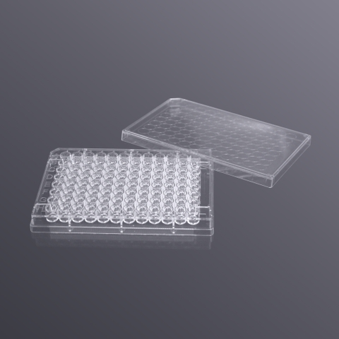 Đĩa 96 giếng đáy V (96-well V-bottom cell culture plate)