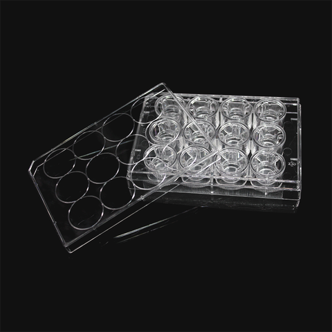 (14214) Cell culture chamber, including 12-well plate