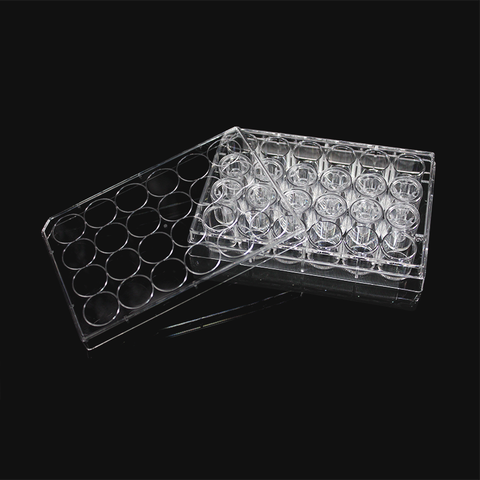 (14314) Cell culture chamber, including 24-well plate