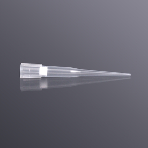 250ul boxed filter automatic tip (adapted to Beckman)