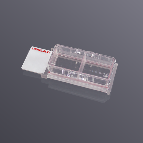 Cell culture chamber slide (2 wells, TC treated)