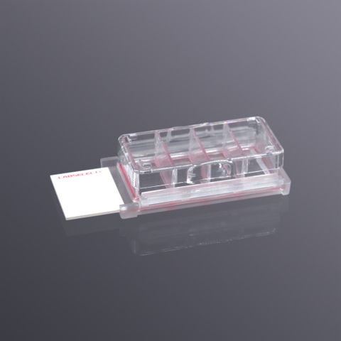 Cell culture chamber slides (4 wells, TC treated)