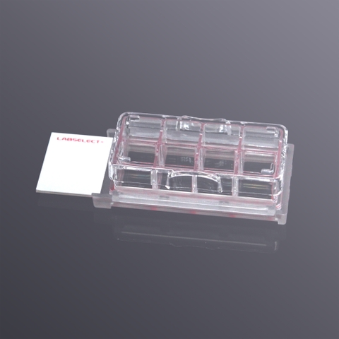 Cell culture chamber slides (8 wells, TC treated)