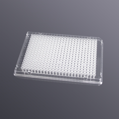 384-well 40ul skirted PCR plate, A24 cut corner, transparent frame, frosted tube
