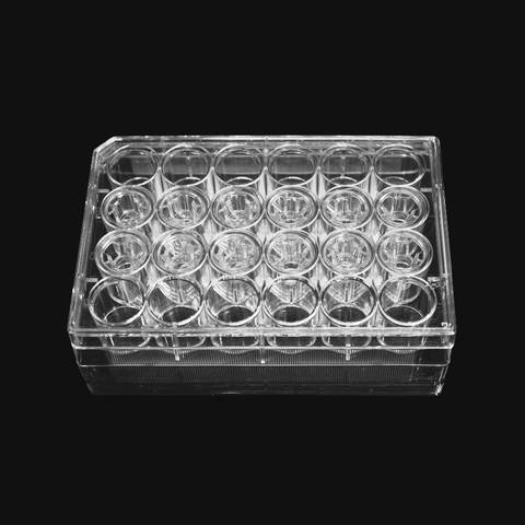 Đĩa 24 giếng đường kính 6.5mm, 0.4μm (6.5mm Diameter for 24 well plate, 0.4μm)