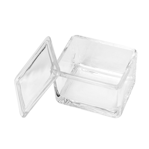 Bình nhuộm lam kính, 20 vị trí 25x75mm, hãng Biosharp