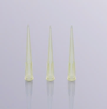 Đầu côn vàng/đầu típ vàng 200μL (Pipette tips), túi 1000 chiếc, Mã BS-200-TA, hãng Biosharp