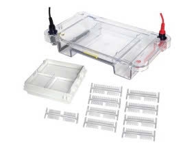 Bể điện di ngang Midi (L-HET-13MD Midi Horizontal Electrophoresis Cell), Thương hiệu: Labgic