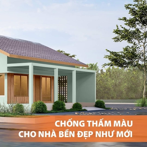SƠN CHỐNG THẤM MÀU - TOA WATERBLOCK COLOR