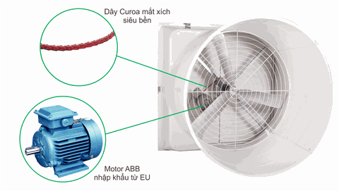Quạt thông gió dạng loa SMC – Giải pháp nâng cao hiệu quả chăn nuôi