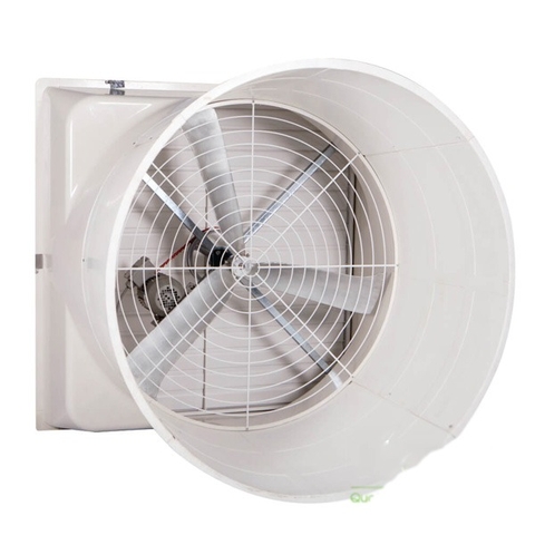 Quạt thông gió dạng loa SMC – Giải pháp nâng cao hiệu quả chăn nuôi