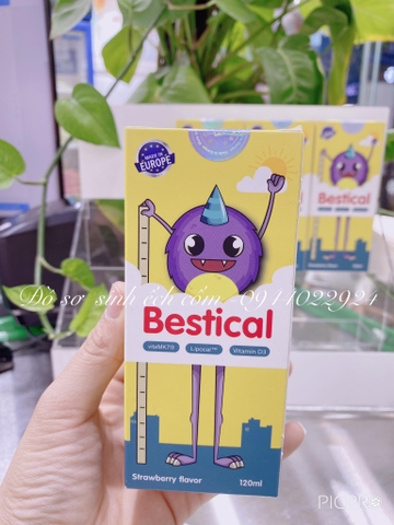 Thực phẩm bảo vệ sức khỏe Bestical