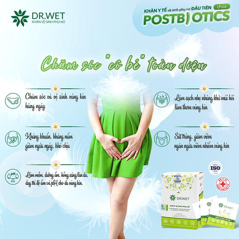 Khăn Vệ Sinh Phụ Nữ DR ( H 5 goi )