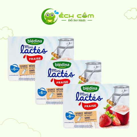 TPBS Váng sữa Blédina mini lactes Fraise, dùng cho trẻ từ 6 tháng tuổi (55g/hộp, 6 hộp/vỉ, 8 vỉ/carton) - Dâu