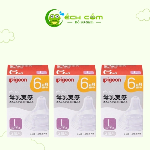 núm pigeon nội địa size  l (1 cái)