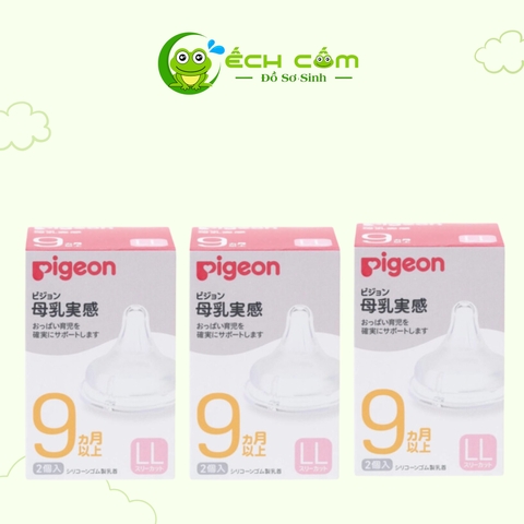 núm pigeon nội địa size ll (1 cái)