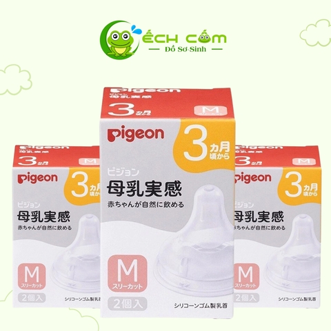 Núm Pigeon  Nội Địa Size M (  WN3 )1 Cái