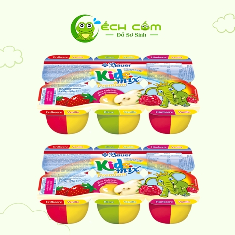 Pho Mát Sữa Chua  Hoa Quả Kids Mix Premium