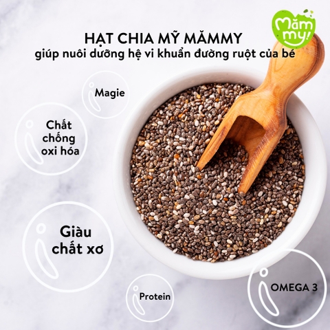 Hạt Hữu Cơ Măm my 110g hạt Chia Hữu Cơ