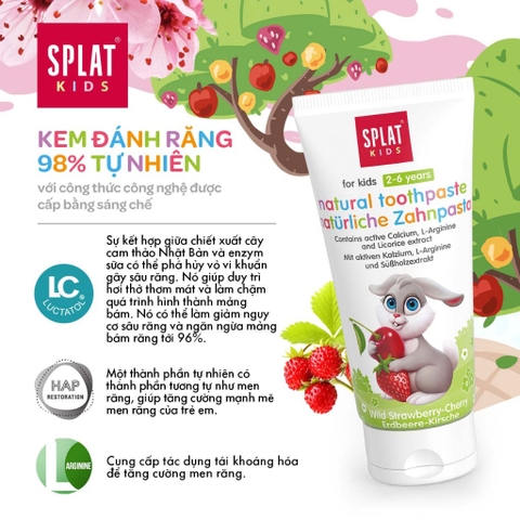 SPLAT KIDS KEM ĐÁNH RĂNG MÙI KEM TRÁI CÂY BÉ 2 - 6 TUỔI 50Ml
