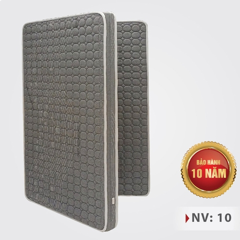 ĐỆM ESEUN NANO VENUS MẪU NV10