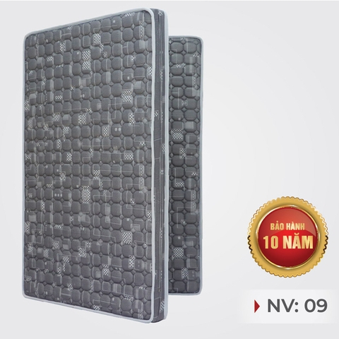 ĐỆM ESEUN NANO VENUS MẪU NV09